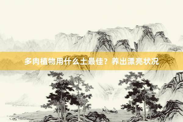 多肉植物用什么土最佳？养出漂亮状况